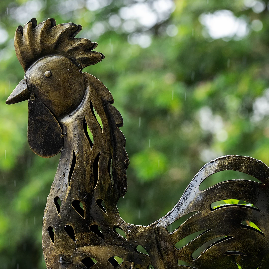Hand made metal rooster with lamp inside in brass finish - Parodarsh